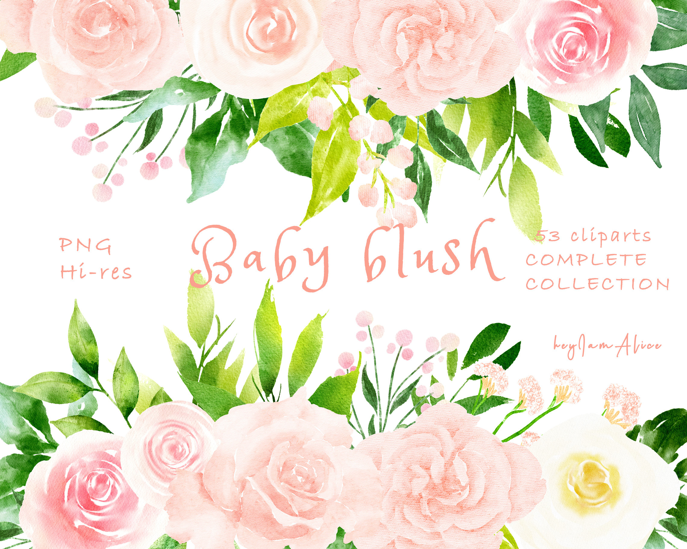 Blush Pink Flower Clipart Creative Market