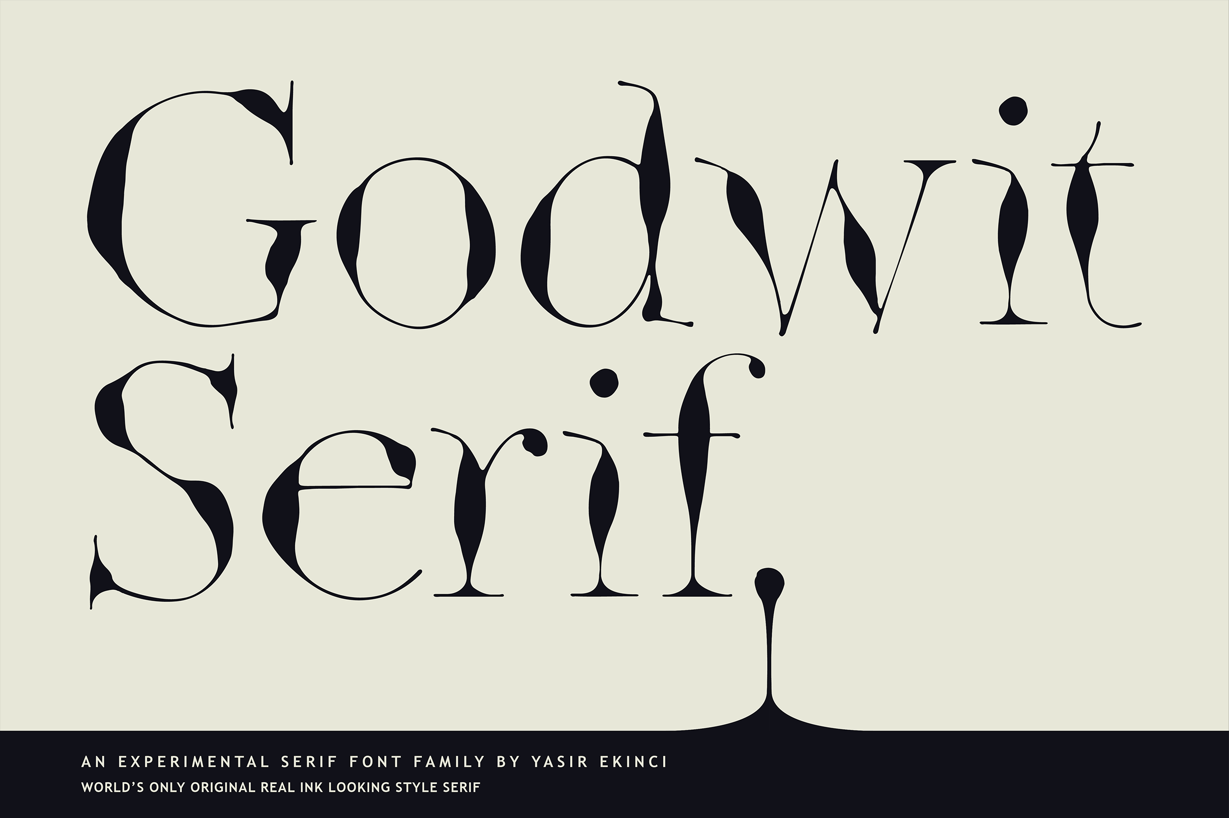 https://images.creativemarket.com/0.1.0/ps/10086741/2500/1664/m1/fpnw/wm0/ink-style-godwit-serif-font-by-yasir-ekinci-01-.png?1&s=1ba6620fc1b9ef59941783747dbf6702