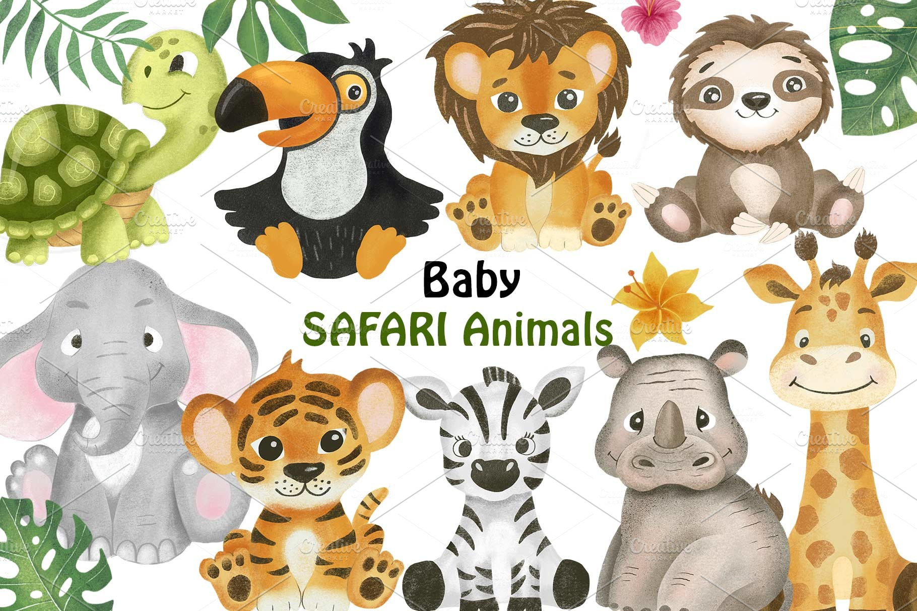 Safari Jungle Baby Animals Clipart Png Creative Market