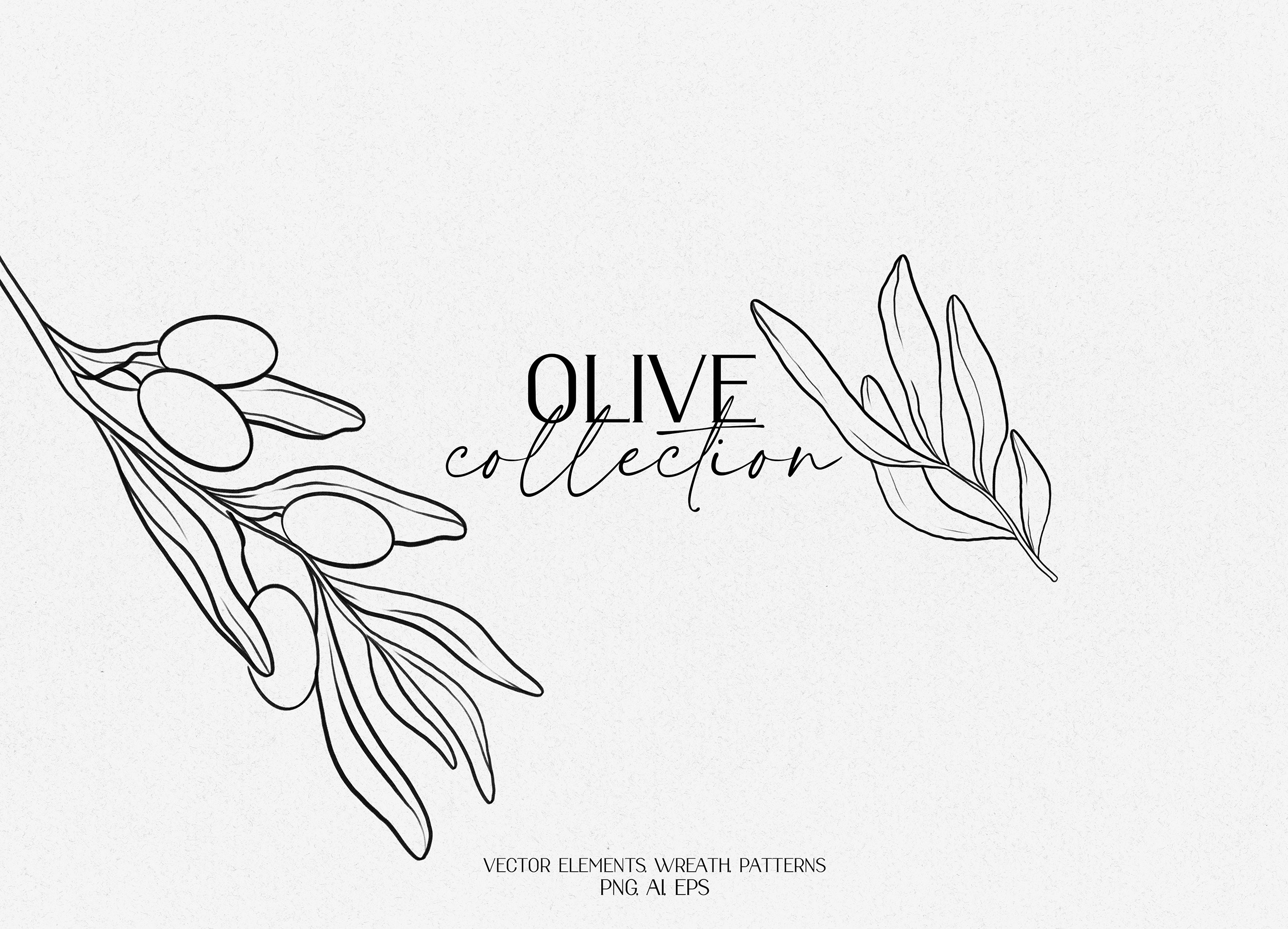 Olive branch line art Creative Market