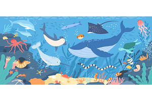 Marine Life Vector Pack | Pre-Designed Vector Graphics ~ Creative Market