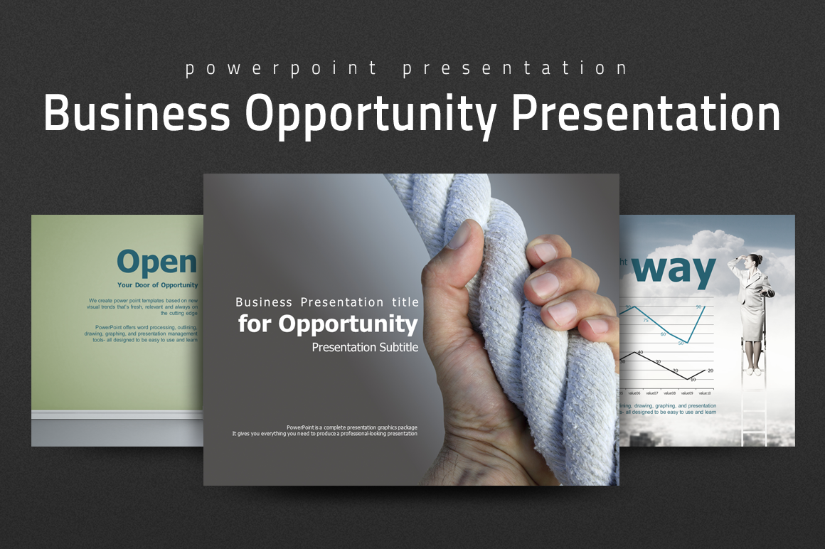 business opportunity presentation ppt