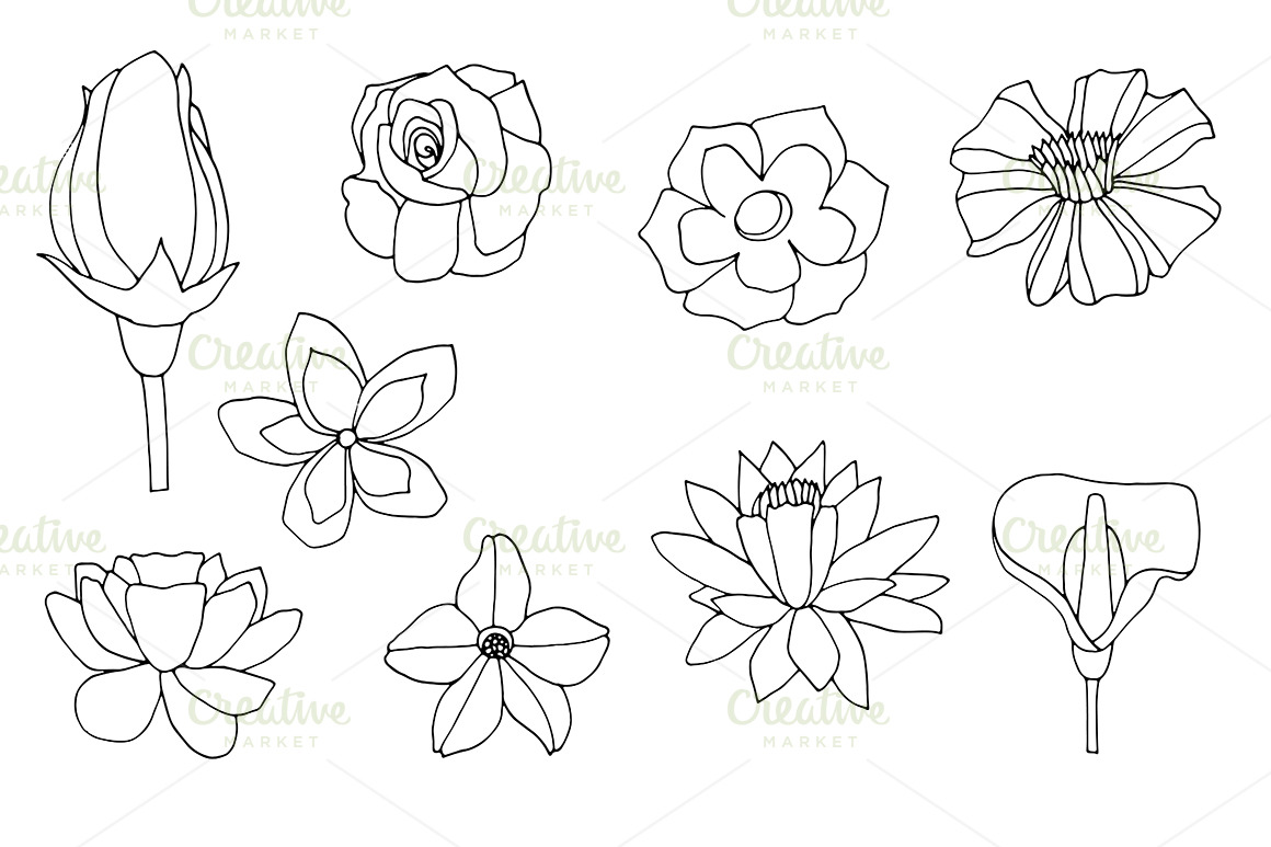 Set flowers | Illustrator Graphics ~ Creative Market