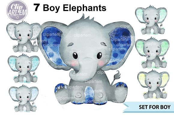 Download Bundle 7 Boy Elephants Png Clip Art Custom Designed Illustrations Creative Market