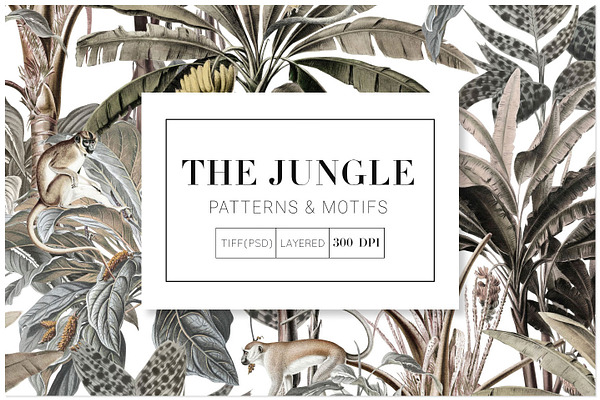 Download The Jungle Exquisite Patterns Custom Designed Graphic Patterns Creative Market