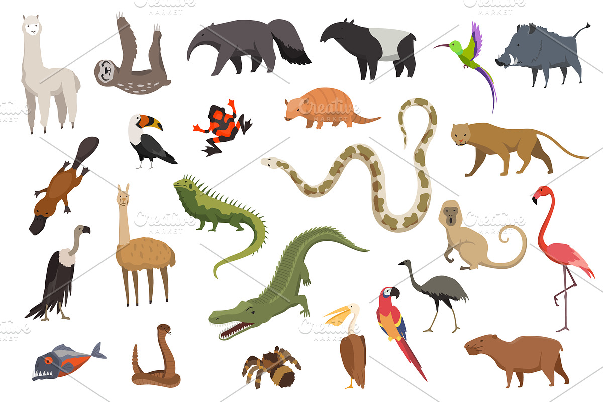 animal-map-of-south-america-pre-designed-vector-graphics-creative