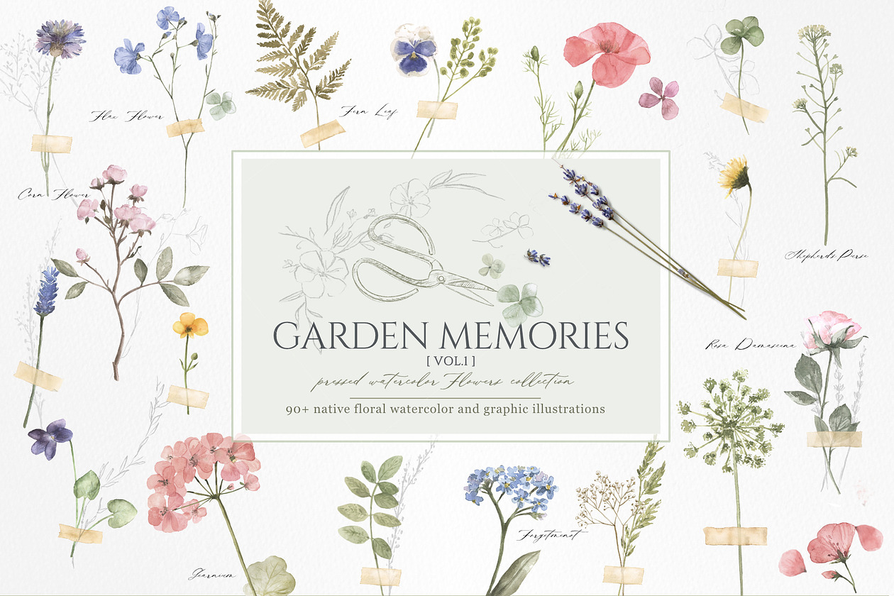 Download Search Watercolor Flower Clipart Creative Market