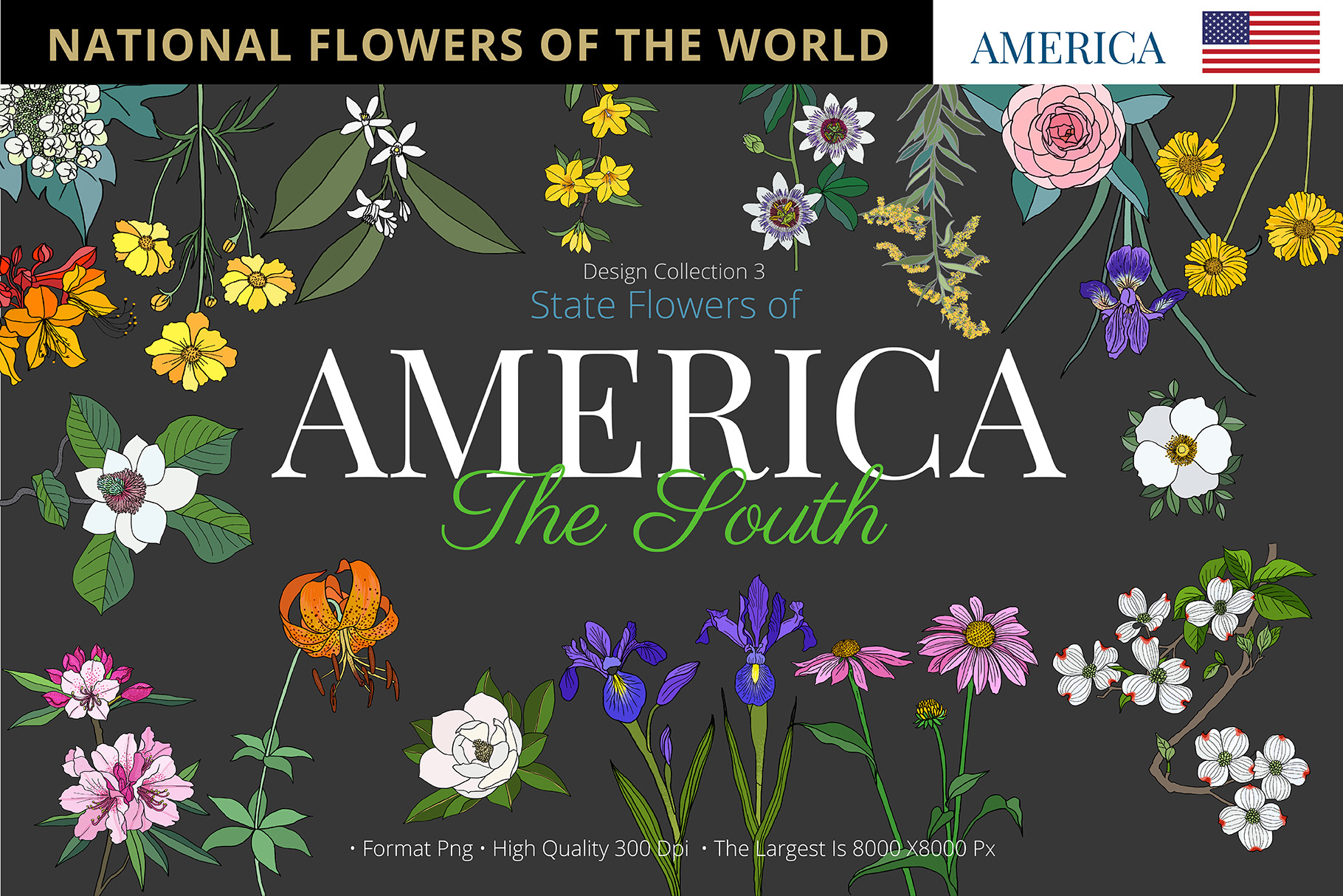 World National Flowers