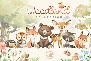 Download Woodland Animal Scene Creator Pre Designed Photoshop Graphics Creative Market