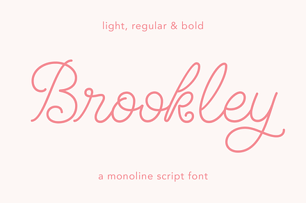 Brandly script font modern (382605)