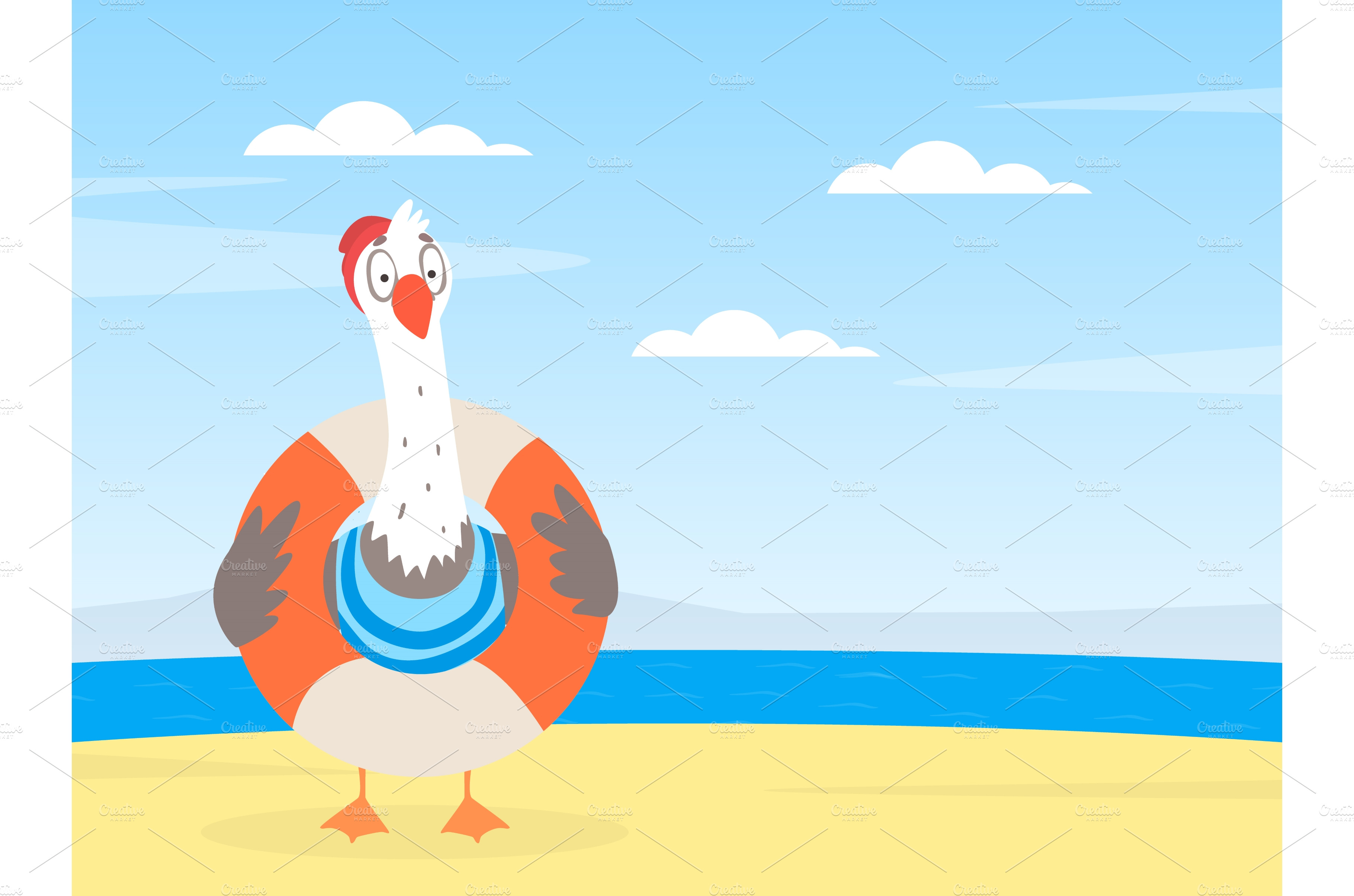 Funny Seagull Character with | Vector Graphics ~ Creative Market