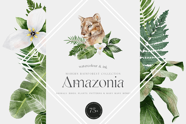 Download Tropical African Collection Creative Market