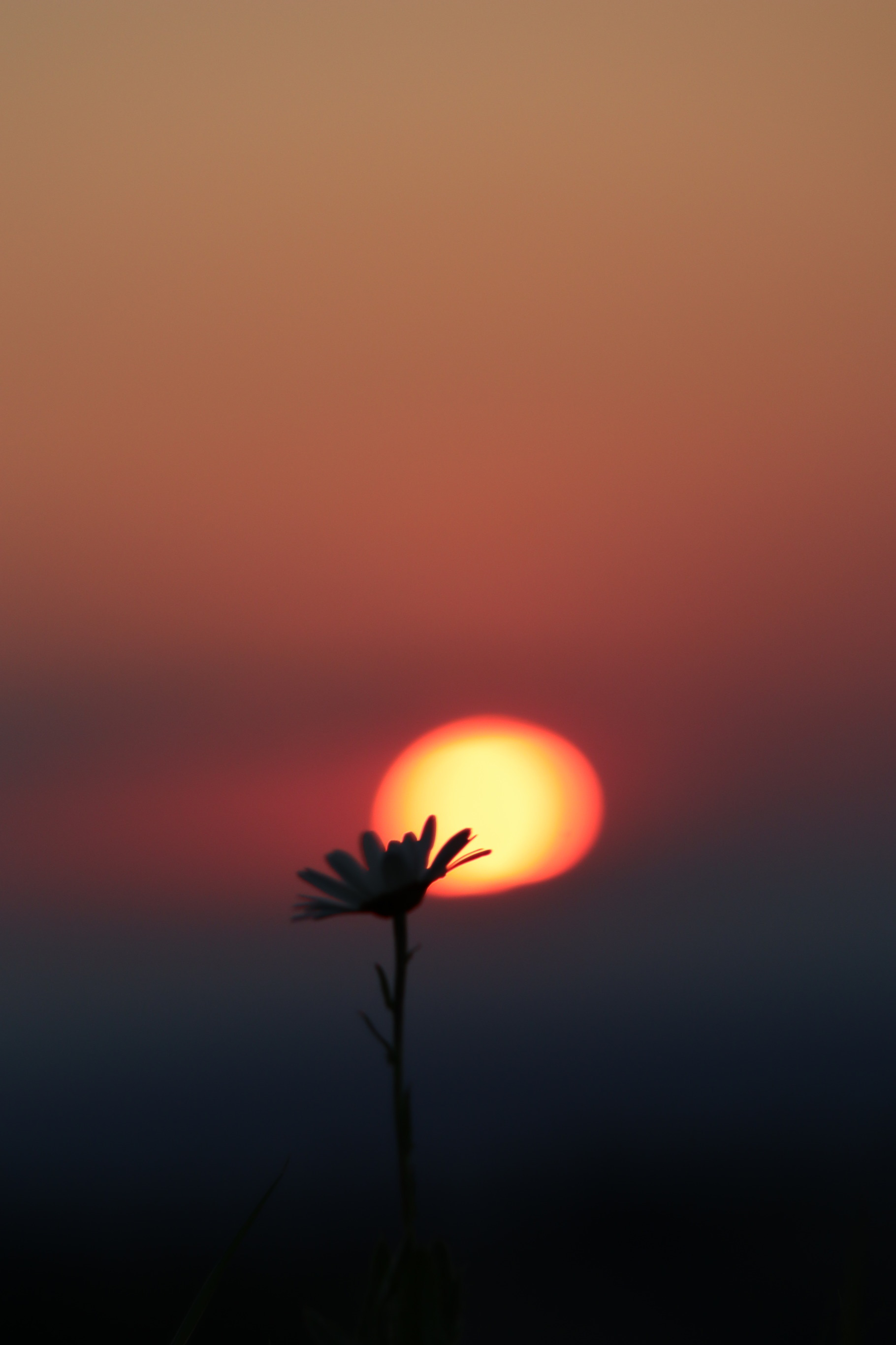 Hot Summer Sunset | Nature Stock Photos ~ Creative Market