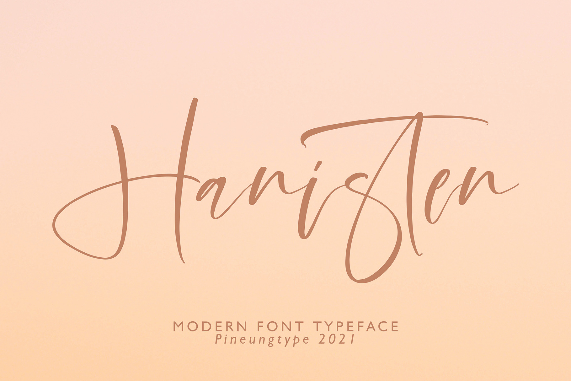 Hanisten | Script Fonts ~ Creative Market