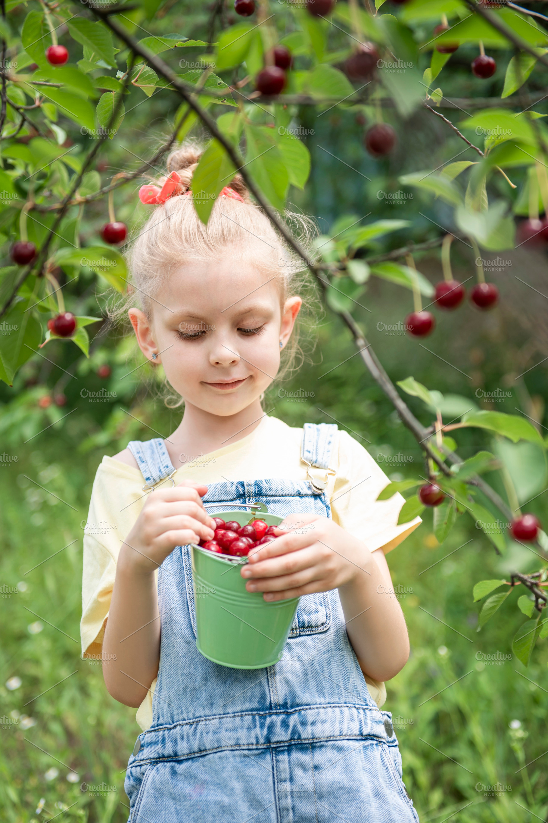 Little girl is picking cherries in the garden. | High-Quality People ...