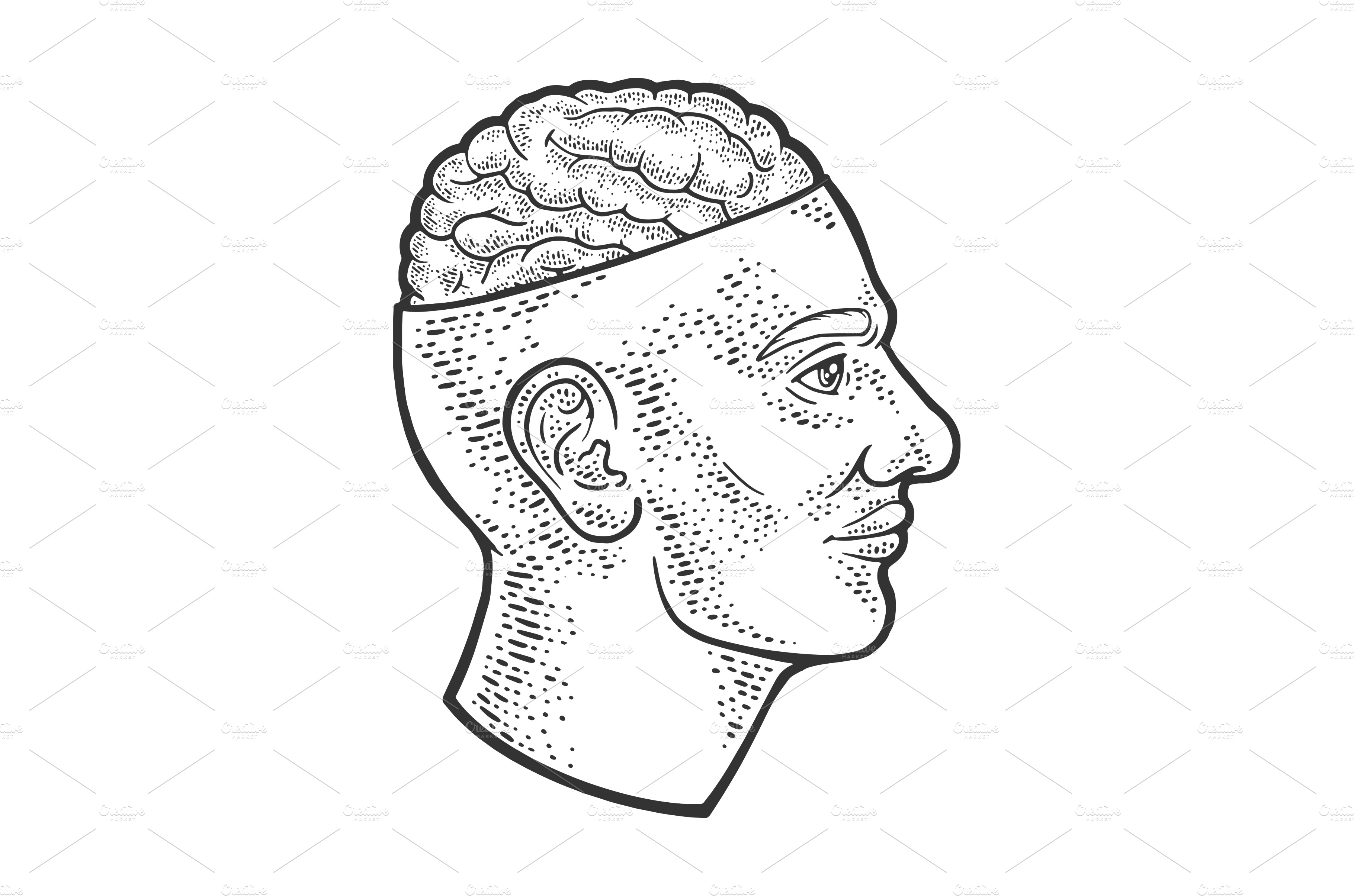 Open brain in head sketch vector Healthcare Illustrations Creative