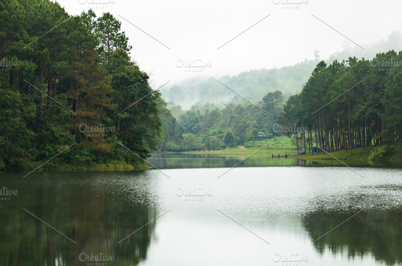 Lake in pine forests featuring lake, forest, and nature | Nature Stock