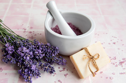 Bowl of dry lavender flowers, mortars, bottles of essential lavender oil or  infused water. Old books and medicinal herbs on background. Stock Photo