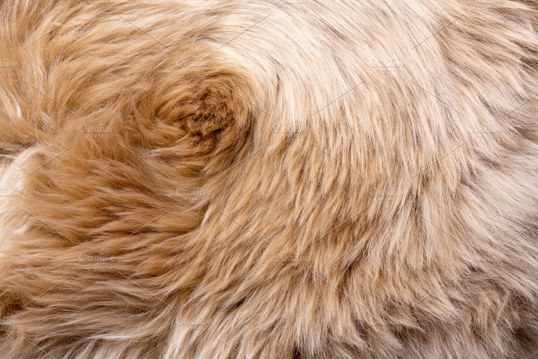 Fur texture top view. Brown fur background. Fur pattern. Texture