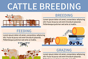 Smart farming orthogonal flowchart | Animal Illustrations ~ Creative Market