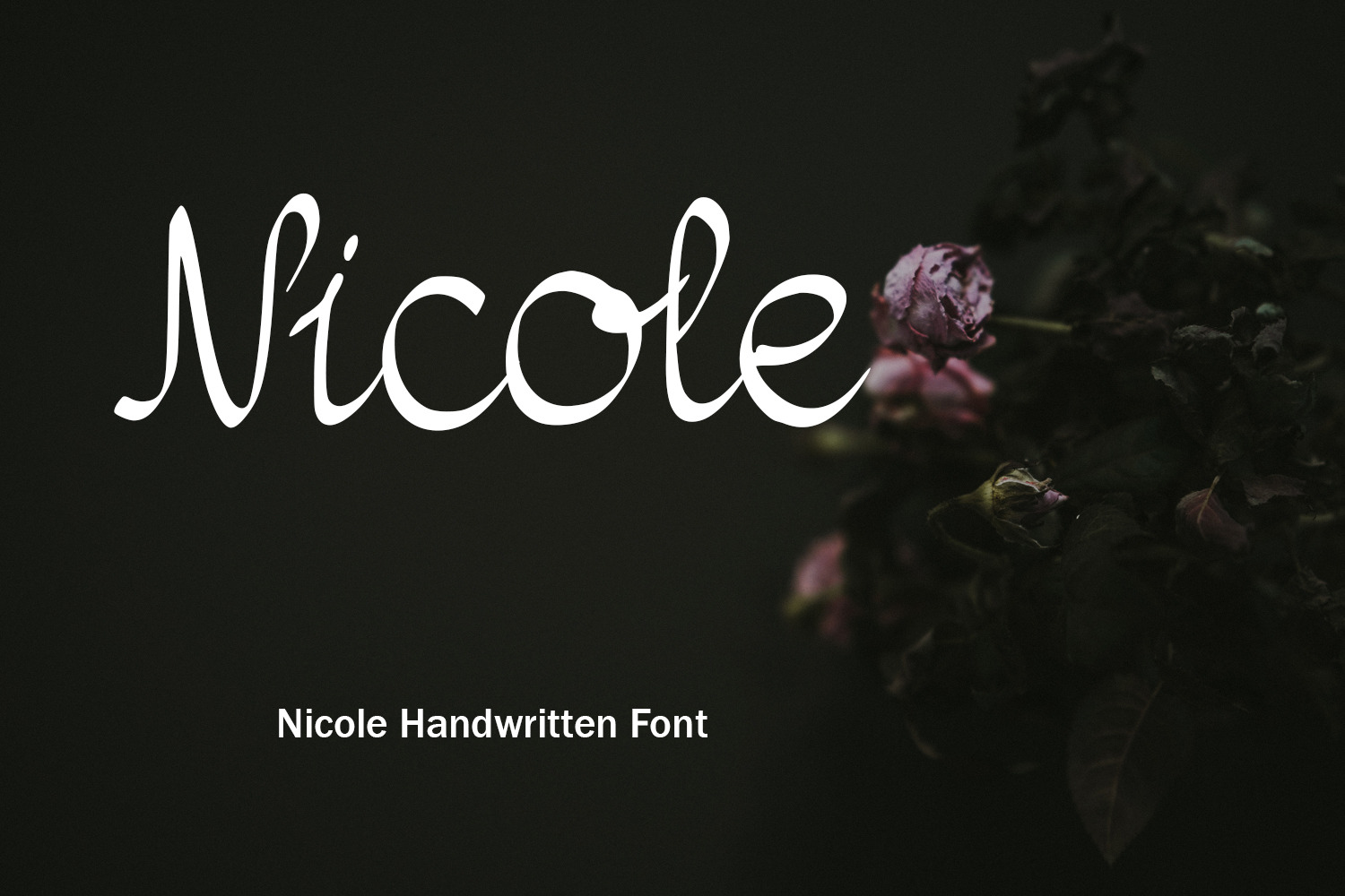 nicole-handwritten-font-creative-market