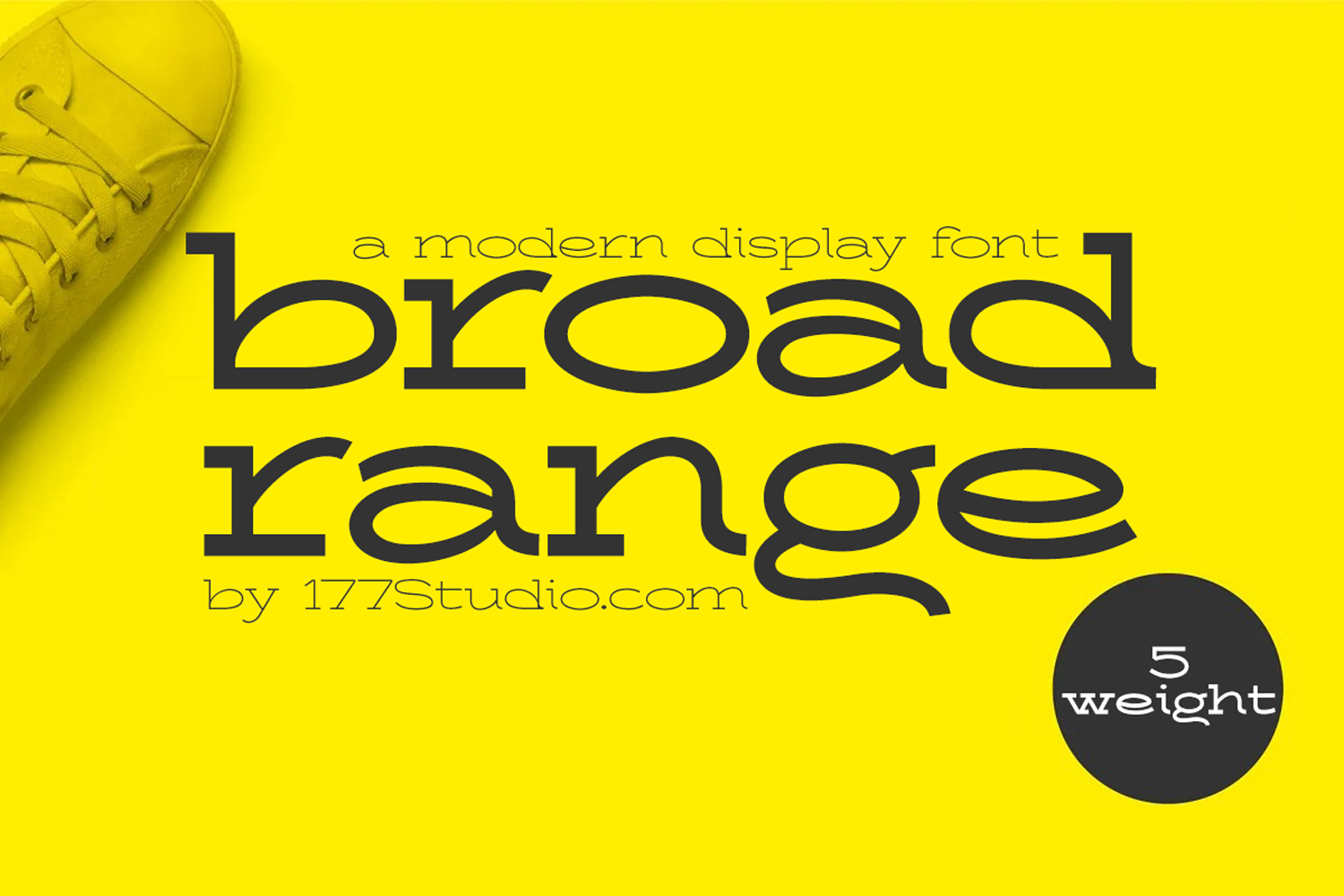 broad-range-font-serif-fonts-creative-market