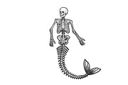 mermaid skeleton sketch vector | Animal Illustrations ~ Creative Market