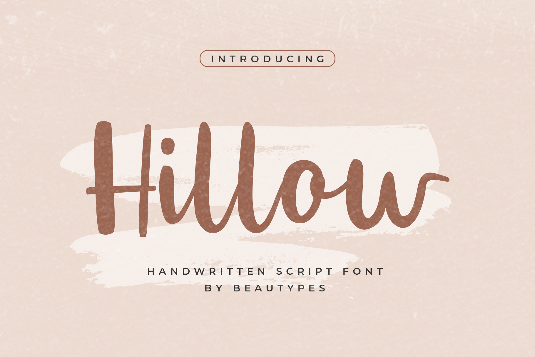 Hillow Script | A Handwritten Font | Script Fonts ~ Creative Market