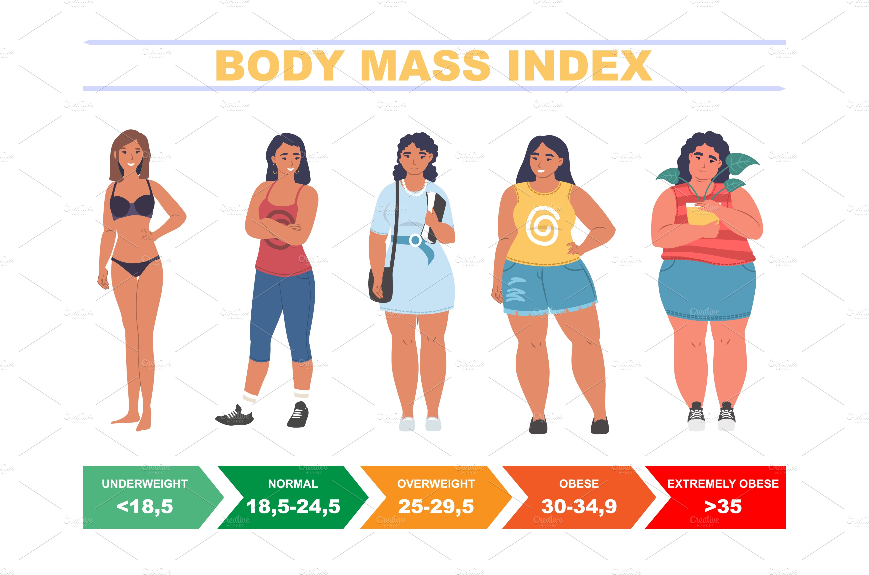 bmi-for-women-body-mass-index-chart-food-illustrations-creative-market