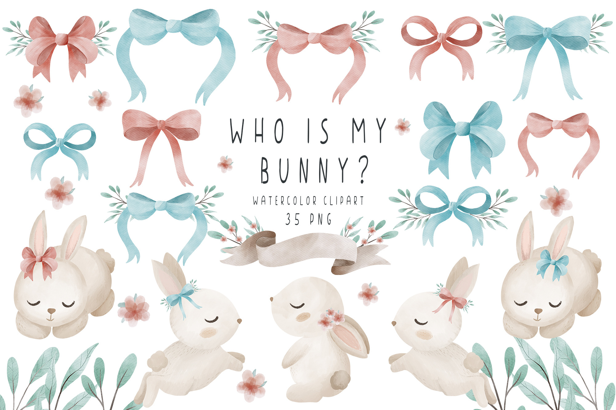 Baby bunny gender reveal clipart | Animal Illustrations ~ Creative Market