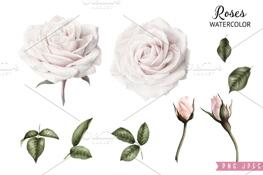 White flowers | Pre-Designed Photoshop Graphics ~ Creative Market