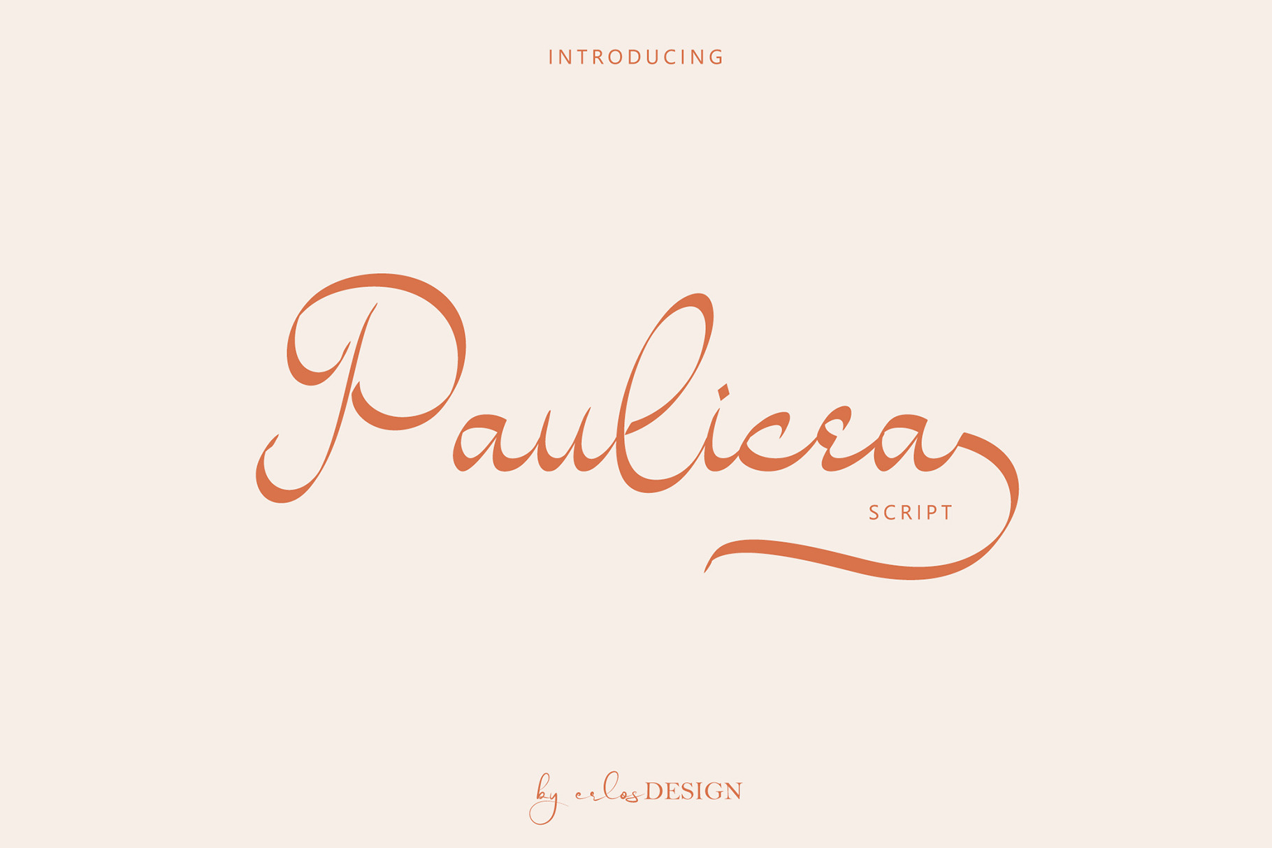 Paulicea - Script Font | Creative Market