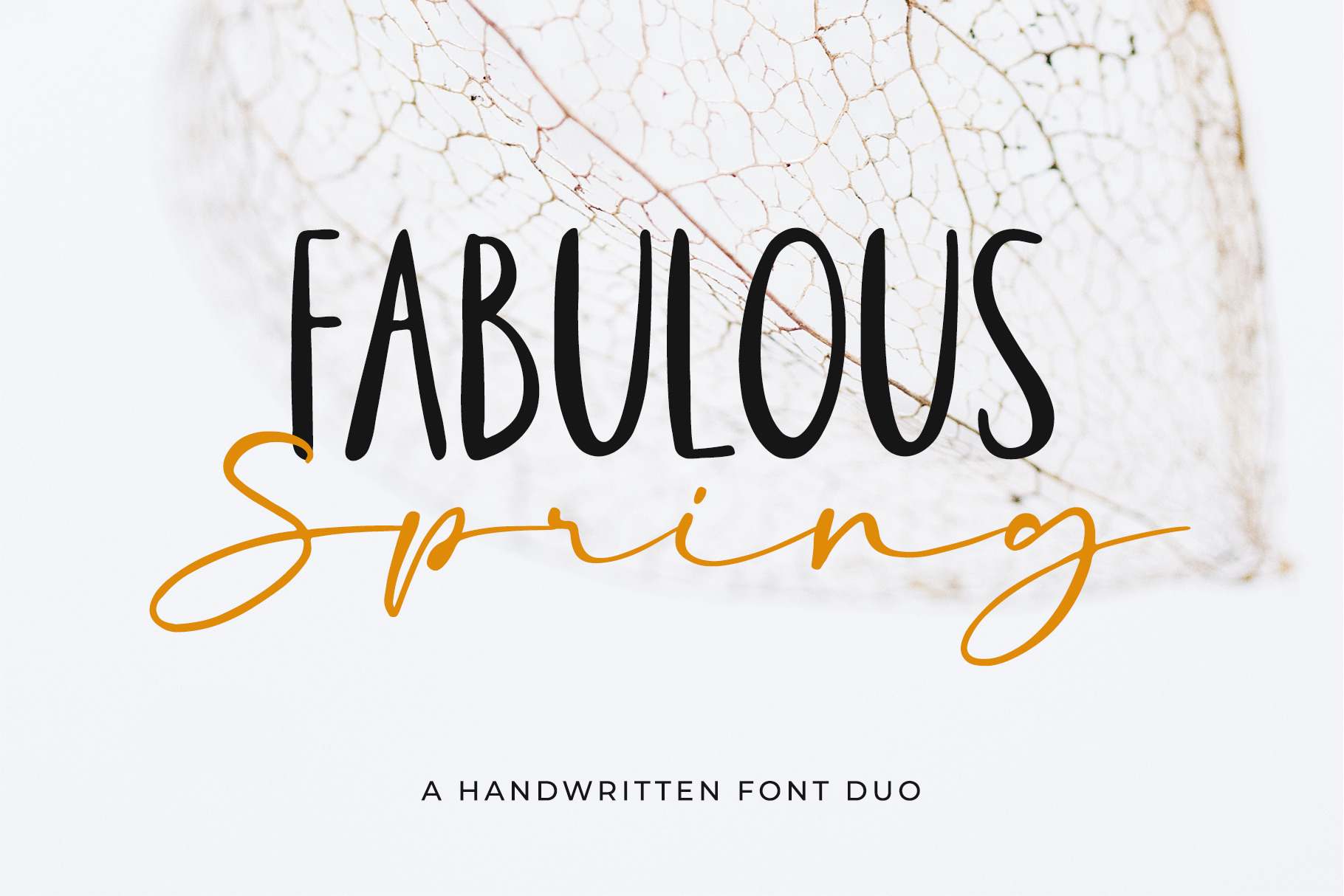 Fabulous Spring A Font Duo Script Fonts Creative Market