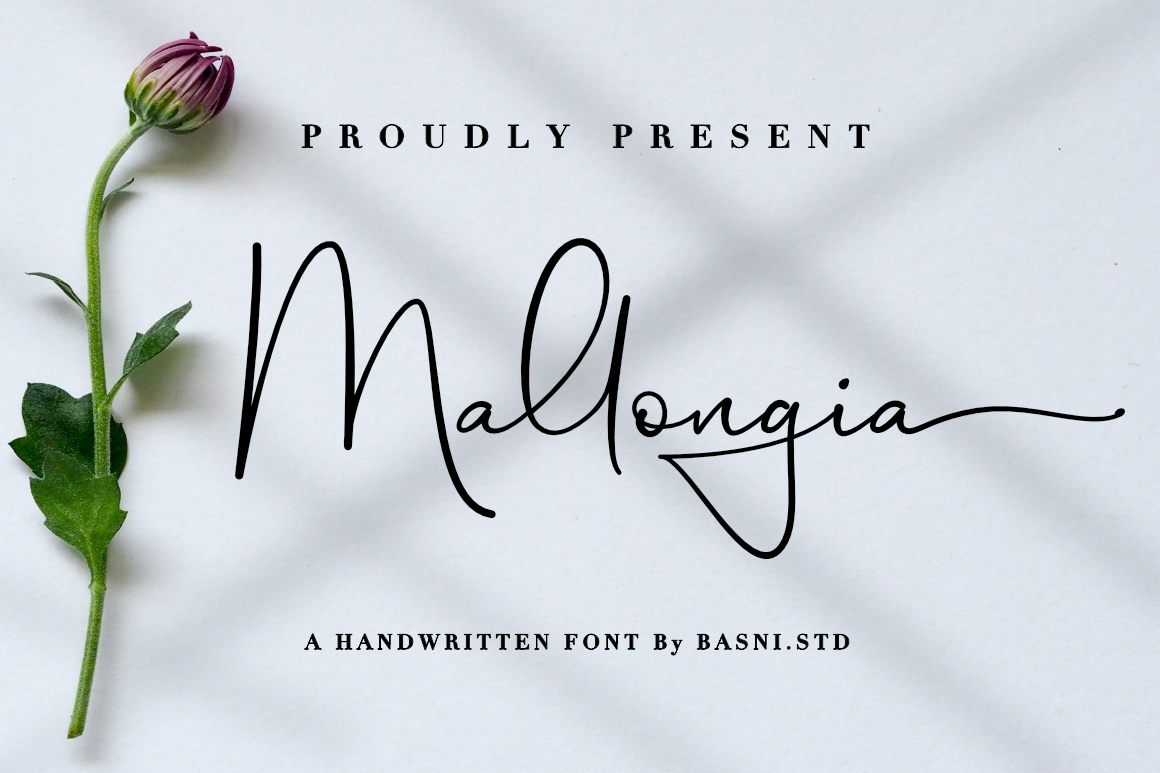 Mallongia a Handwritten Font | Script Fonts ~ Creative Market