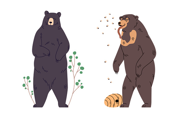 Set of different bear species illustrated in a vector cartoon