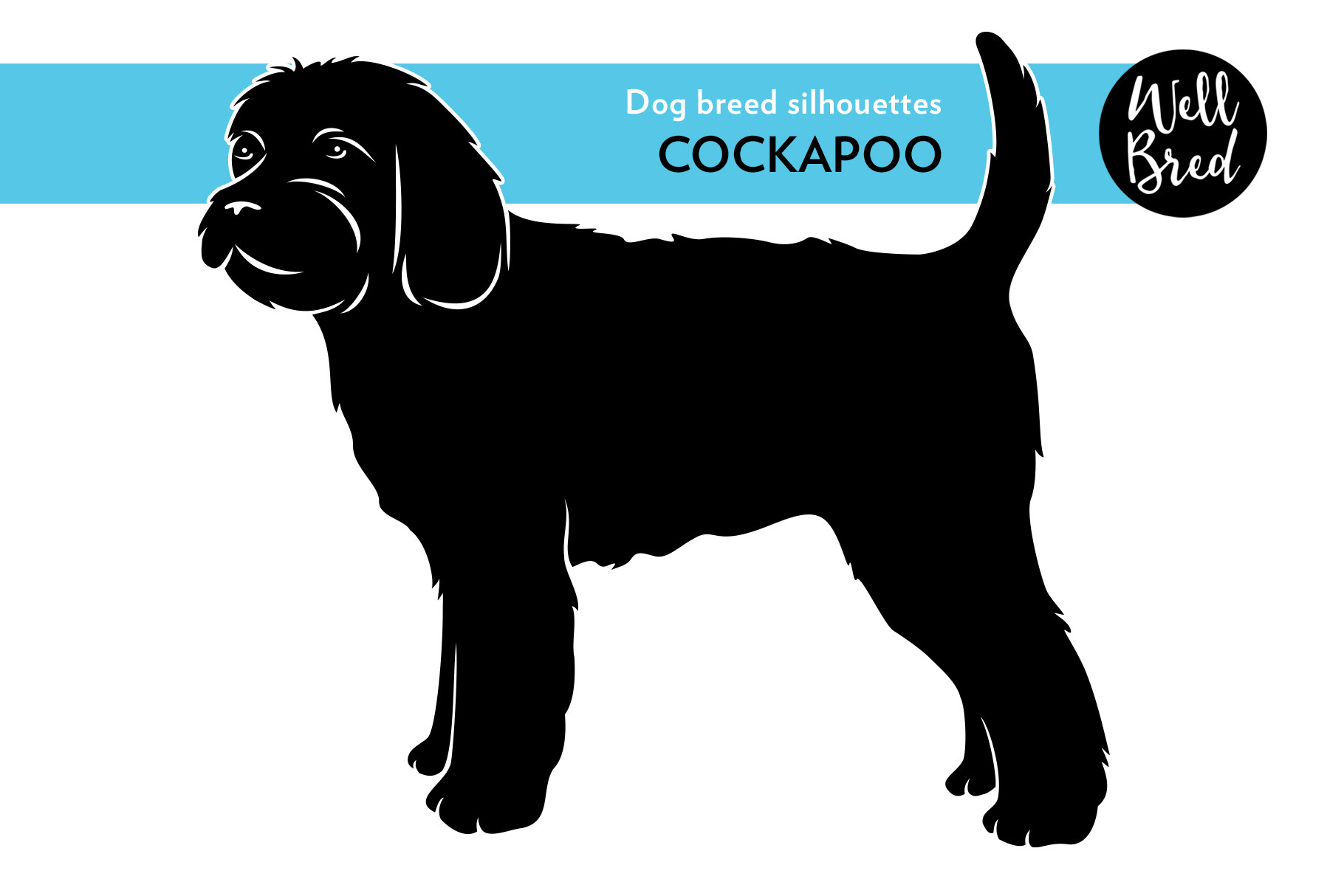 Cockapoo Vector Silhouette | Illustrations ~ Creative Market