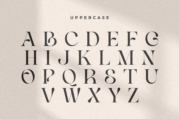 Life Sugarly Font, Webfont & Desktop