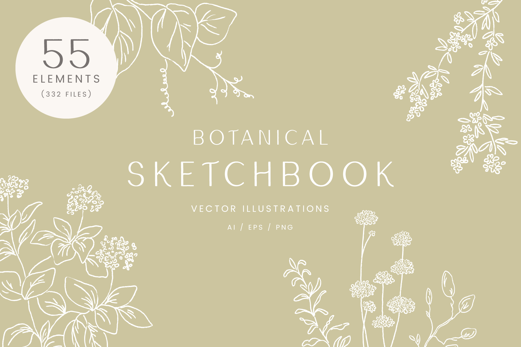 Botanical Sketchbook