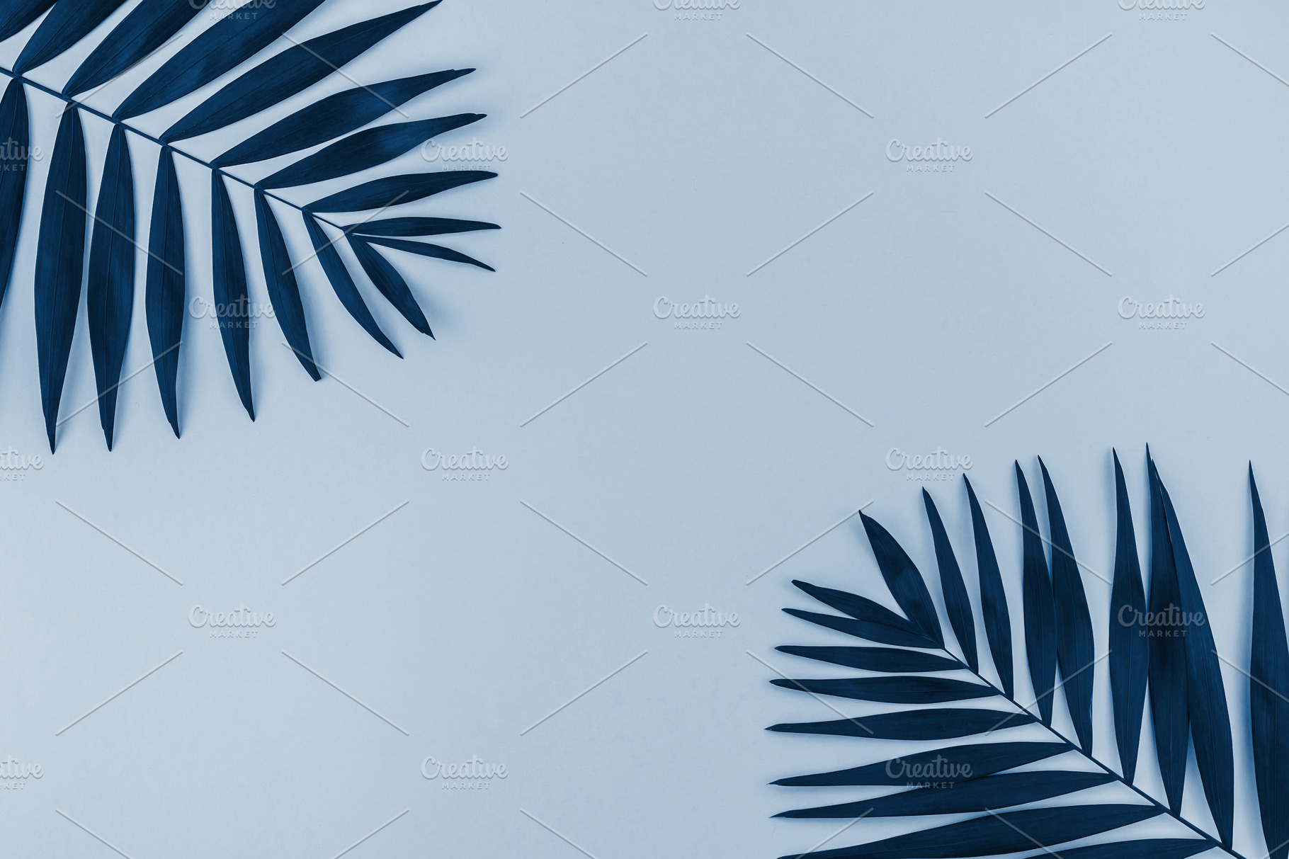 Tropical palm leaves background blue toned | Nature Stock Photos