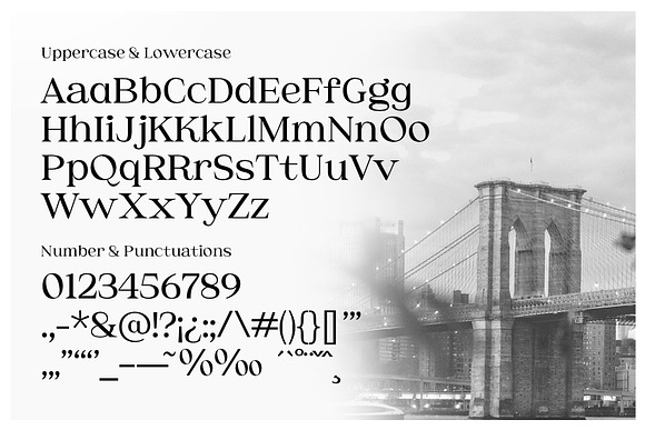 Brooklyn Numeral Set  Sans Serif Fonts ~ Creative Market