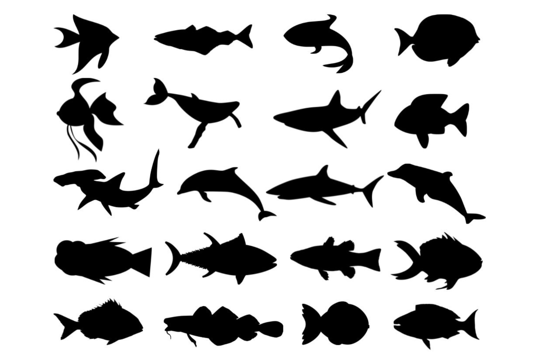 Fish Silhouette | Animal Illustrations ~ Creative Market