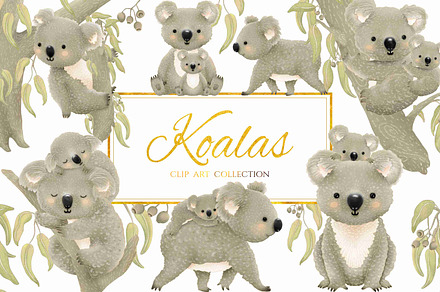 Koala Clipart Koala Bear Clip Art and Digital Paper Set 