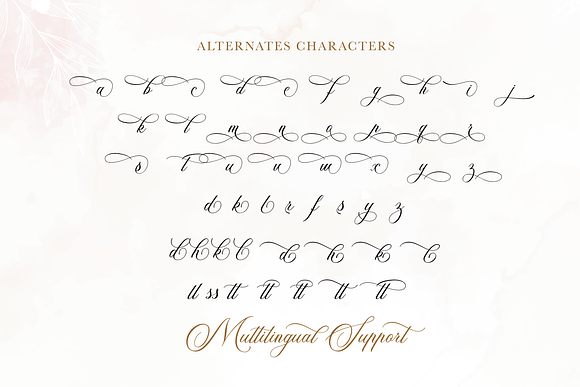 Alexandra Calligraphy Font, Webfont & Desktop