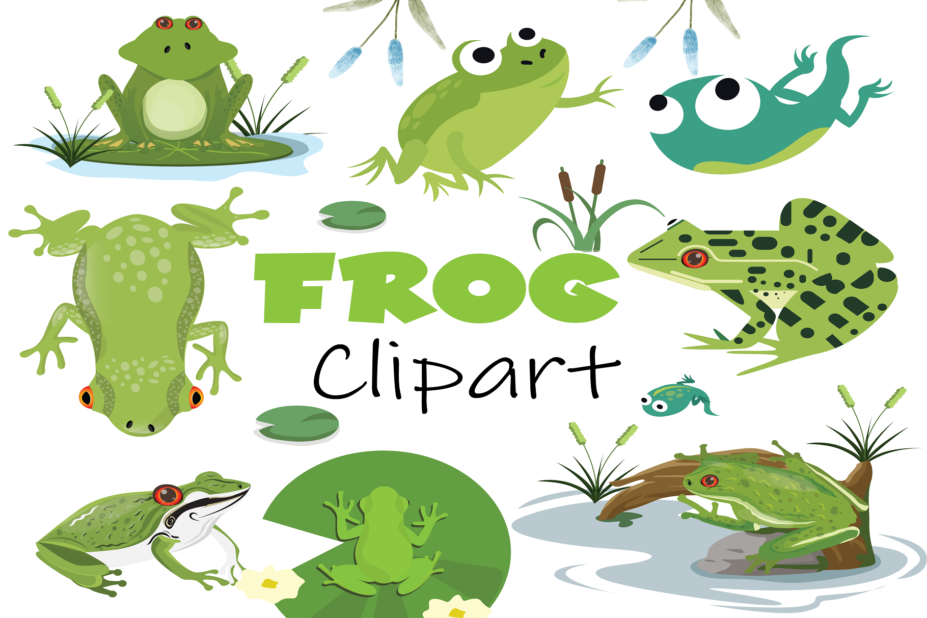 Watercolor Frog Clipart | Creative Market