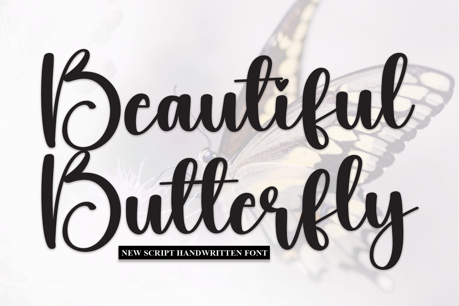 Beautiful Butterfly | Script Font | Script Fonts ~ Creative Market