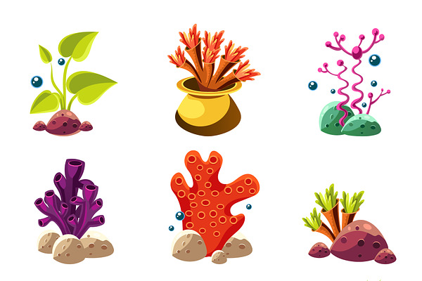 Set of cartoon algae | Pre-Designed Photoshop Graphics ~ Creative Market