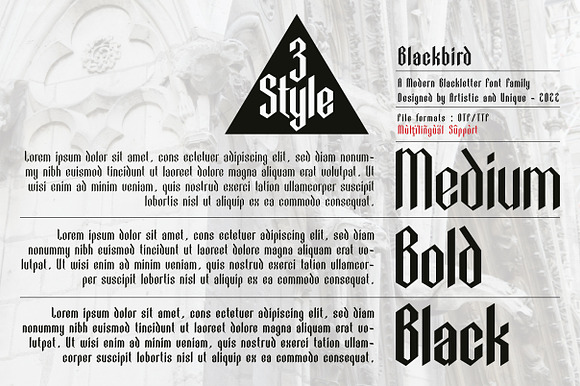 Hawlers Font Family + Extras  Blackletter Fonts ~ Creative Market