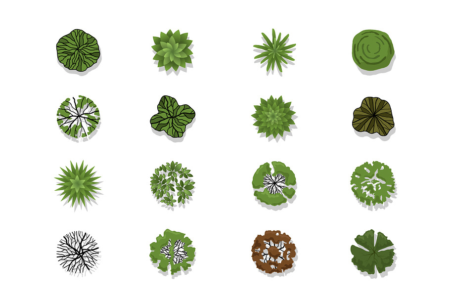 72 Vector Trees Top View | Pre-Designed Illustrator Graphics ~ Creative