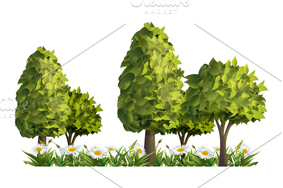 Trees, nature, forest, vector set