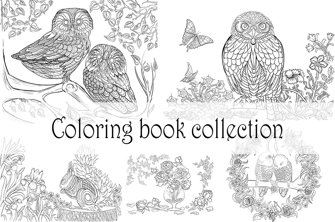 Coloring book collection PreDesigned Illustrator Graphics Creative